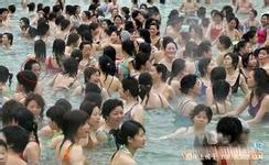  hongkong pool joki togel 6d akan melakukan debutnya di dunia reli